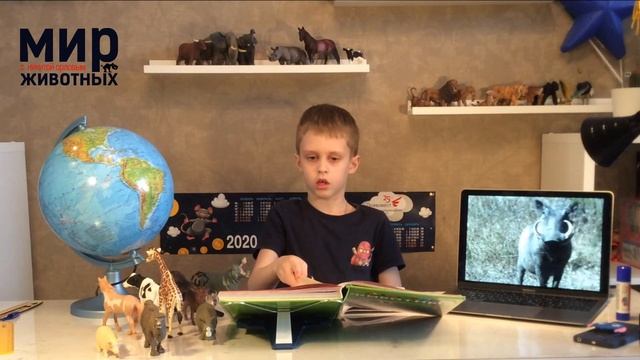 ПРО БОРОДАВОЧНИКА