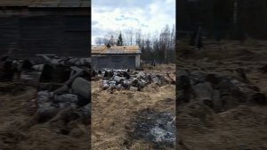 девяносто седьмой день