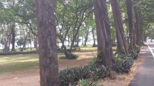 Пхукет. Пляж Naiyang в Sirinat national park