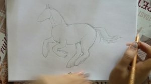 КАК НАРИСОВАТЬ ЛОШАДЬ!!!HOW TO DRAW A HORSE!!!