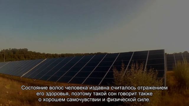 К чему снится густые волосы? Толкование сна и его значение по сонникам Ванги и Хассе