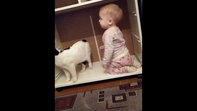 Малыш и кот смотреть онлайн