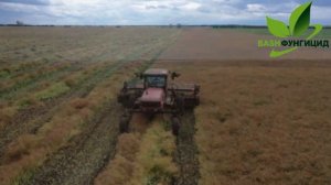 РАПС Яровой . раздельная уборка часть 1 .Кошение