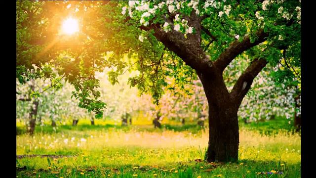 Reinhold Gliere  - String quartet N2 G-minor Op. 20 IIm. RUSQUARTET