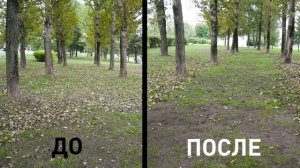 Это эффективное устройство. Воздуходувка Oleo-Mac BV 250 #Воздуходувка #Oleo-Mac#ПылесосСадовый