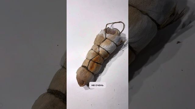 Домашняя полендвица! Два рецепта. Как приготовить в домашних условиях вкуснейшую вяленую полендвицу