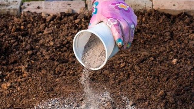 Древесная зола -  природное удобрение