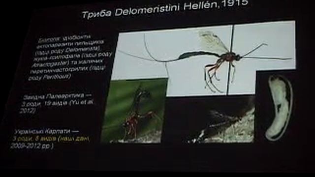 Энтомолог А.Варга: Наездники-пимплины Украинских Карпат: Биология, Экология, Таксономия