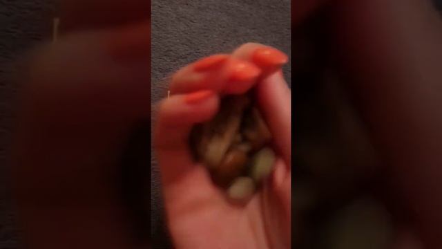 супер быстрое гадание на камнях ДА или НЕТ
