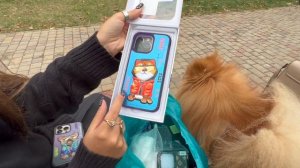 Прогулка с собаками ? Зоомагазин, парк, кафе #моисобаки