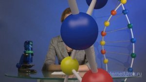 Строение клетки. Клеточная мембрана. Ядро. Видеоурок по биологии 10 класс