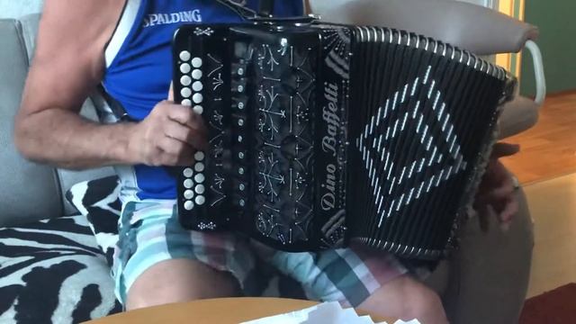 Dino Baffetti Garmon Гармонь смотреть онлайн