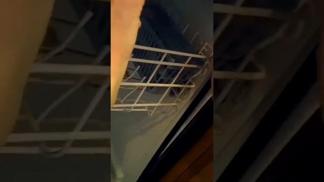 ✨ Dishwasher Leaking From Door - 45 Second FIX ✨