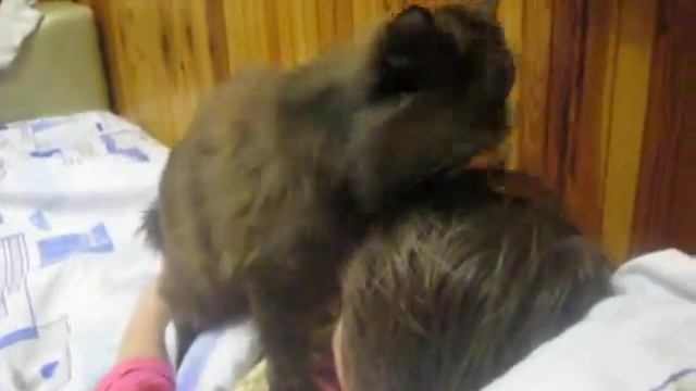 ВАМ НАЧЁС ИЛИ УКЛАДКУ? смотреть онлайн