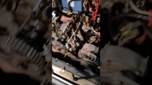 Не прошло и года и пошёл антифриз в цилиндра Audi 80 1.8 PM