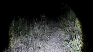 FANTASMA ASSUSTADOR DE MENINA ESTÁ COM SUA FAMÍLIA NO LOCAL DA SUA MORTE!