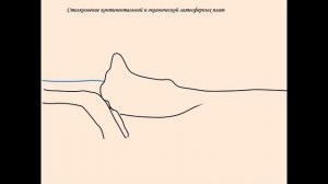 Движение литосферных плит. География 7 класс