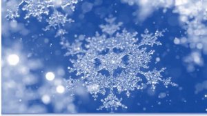 ЛЕТЯТ СНЕЖИНКИ