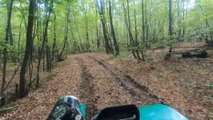 В лес за дровами на мотоцикле Урал с прицепом / пз 30.