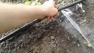 Быстрый ремонт капельной трубки