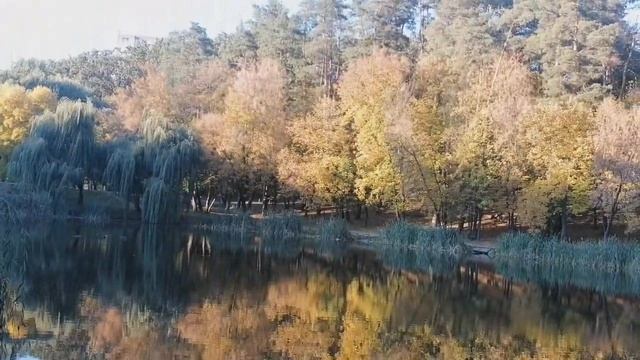 ПРОГУЛКА ПО ОСЕННЕМУ ПАРКУ . ОСЕННИЙ ПАРК. смотреть онлайн