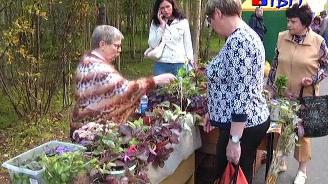 день урожая в парке смотреть онлайн