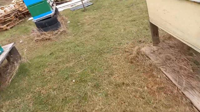 осмотр пчелок 16 января 2022 года смотреть онлайн