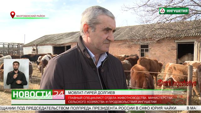Развитие животноводства в Ингушетии. смотреть онлайн