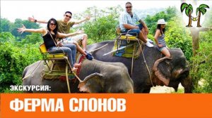 Экскурсия на ферму слонов | Elephant Camp