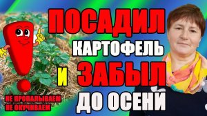 Почему мы не ОКУЧИВАЕМ и не ПРОПАЛЫВАЕМ картофель.