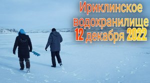 Оренбургская область Ириклинское водохранилище Природа