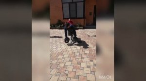 Тренировка греко-римская борьба