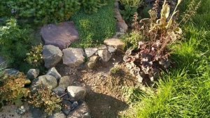 Проекты: "Горка с водопадом" и "Мини-рокарий у входа"