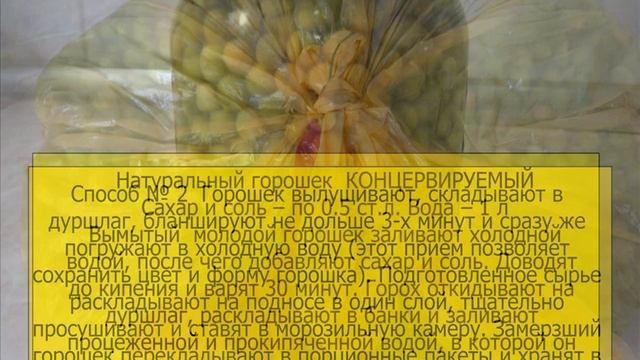 ЗЕЛЕНЫЙ   ГОРОШЕК  НА ЗИМУ
