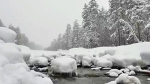 Нет снега в этом январе