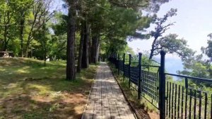 Бетта Курортный хутор. Обзор