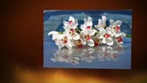 поздравления с юбилеем женщине 70