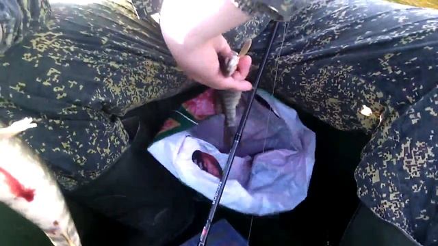 Ловля щуки на спининг. Небольшой сплав. смотреть онлайн