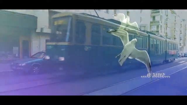 В. Понкин - список невыполнимых дел смотреть онлайн