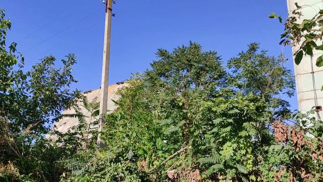 Гулькевичский Комбинат Хлебопродуктов