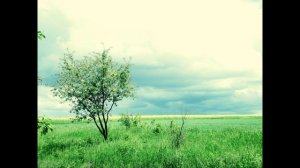 Леонид  Андреев. Петька на даче.