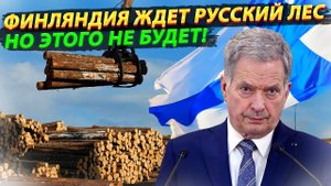 Совсем берега попутали! Финляндия ждет Русский лес - но этого не будет!