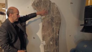 Обнаружены останки самого крупного динозавра