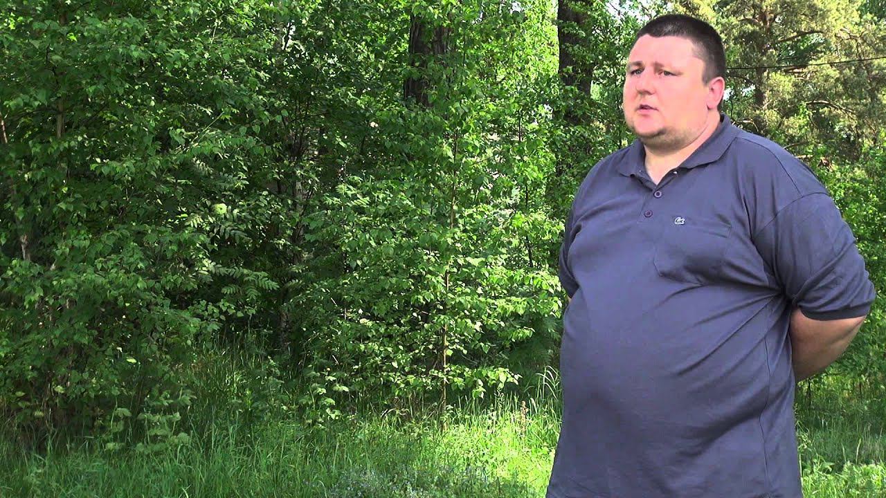 Введение в любительскую радиосвязь