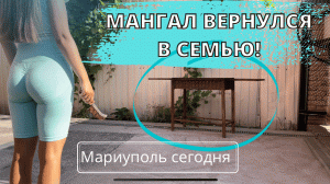 МАНГАЛ ВЕРНУЛСЯ В СЕМЬЮ! МАРИУПОЛЬ СЕГОДНЯ