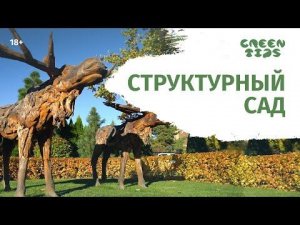 Структурный сад. Тизер. Обзор сада Людмилы Белых и Ольги Шадриной.