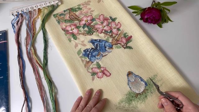 47. #Dimensions #Sunset Птенец голубой сойки/Baby blue jays | Готовая работа ✅ /ФИНИШ/ОТШИВ смотреть онлайн