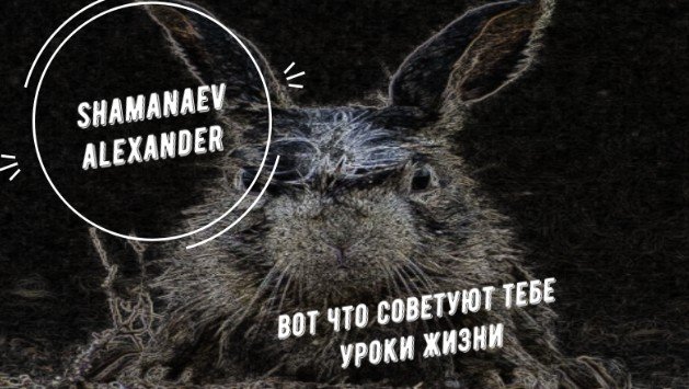 Вот, что советуют тебе уроки жизни