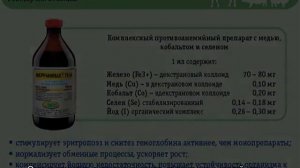 Анемия у кошек: симптомы и лечение, причины