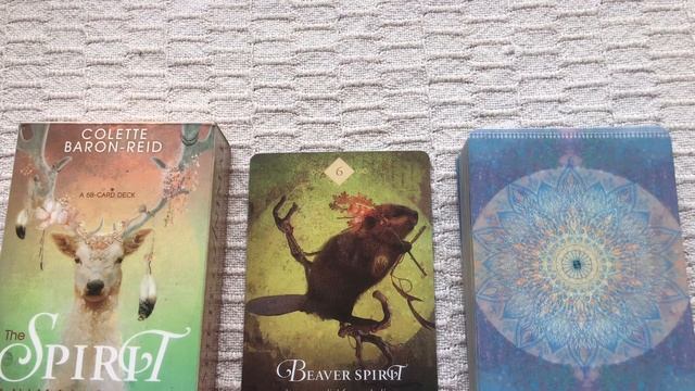 The Spirit Animal Oracle 06/68 Beaver guide book audio description смотреть онлайн